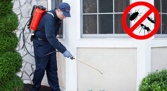 Ardanuç Tahtakurusu İlaçlama böcek ilaçlama ve haşere kontrolü — ilaclama-tr.com